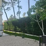 Poolside Elsa Golem (Tirana)