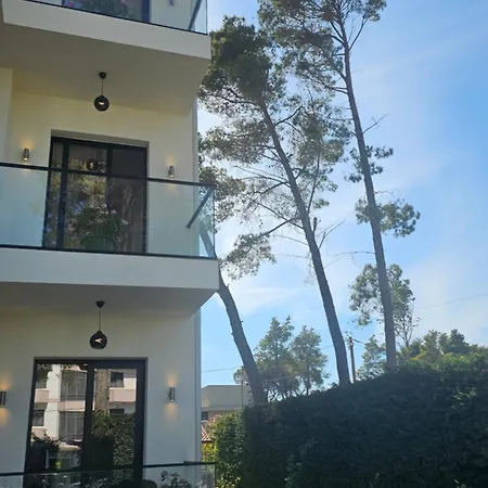 White Pine With Pool Голем