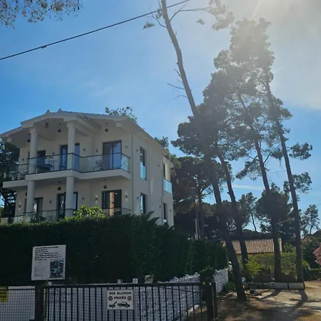 Апартаменты White Pine With Pool Голем